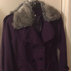 Purple Pea Coat